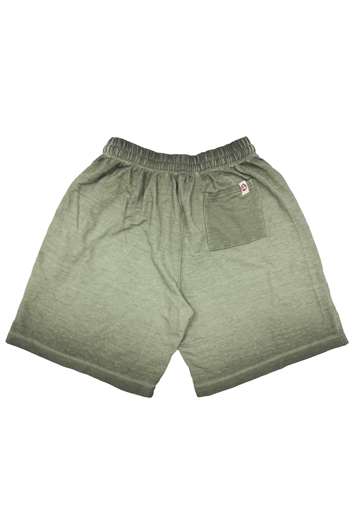 AVENUE JAPANESE BADGE WASH SHORT (FAN)