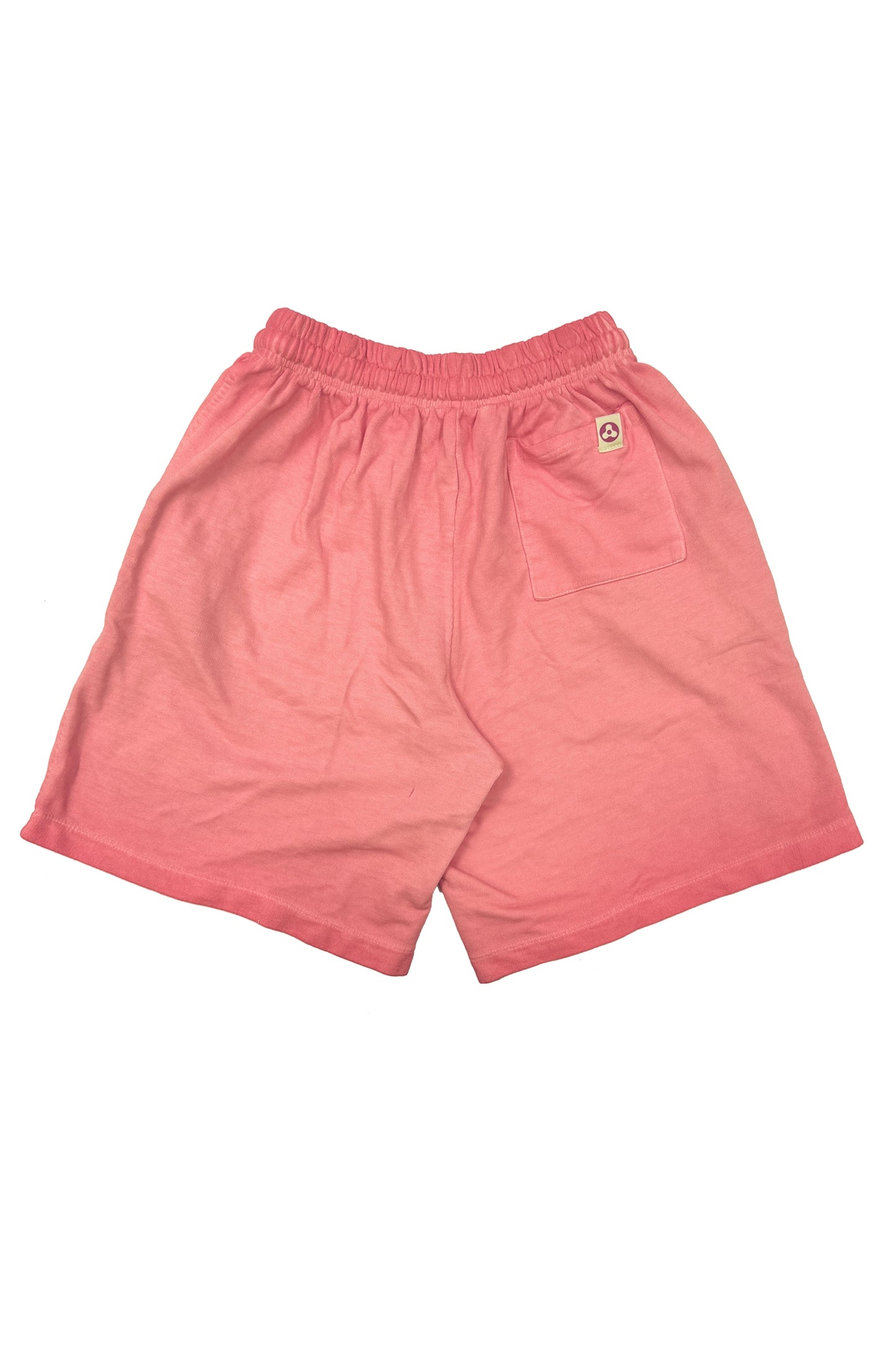 AVENUE JAPANESE BADGE WASH SHORT (CAT)