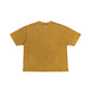 SAA1 CAN4 TEE