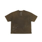 SAA1 CAN4 TEE