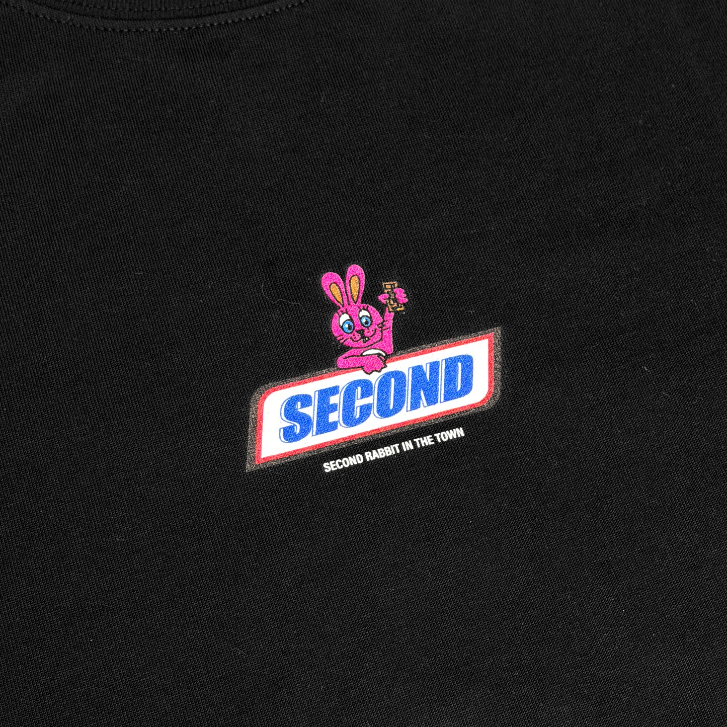 “CHOCO RABBIT” PRINTED WASHED T-SHIRT