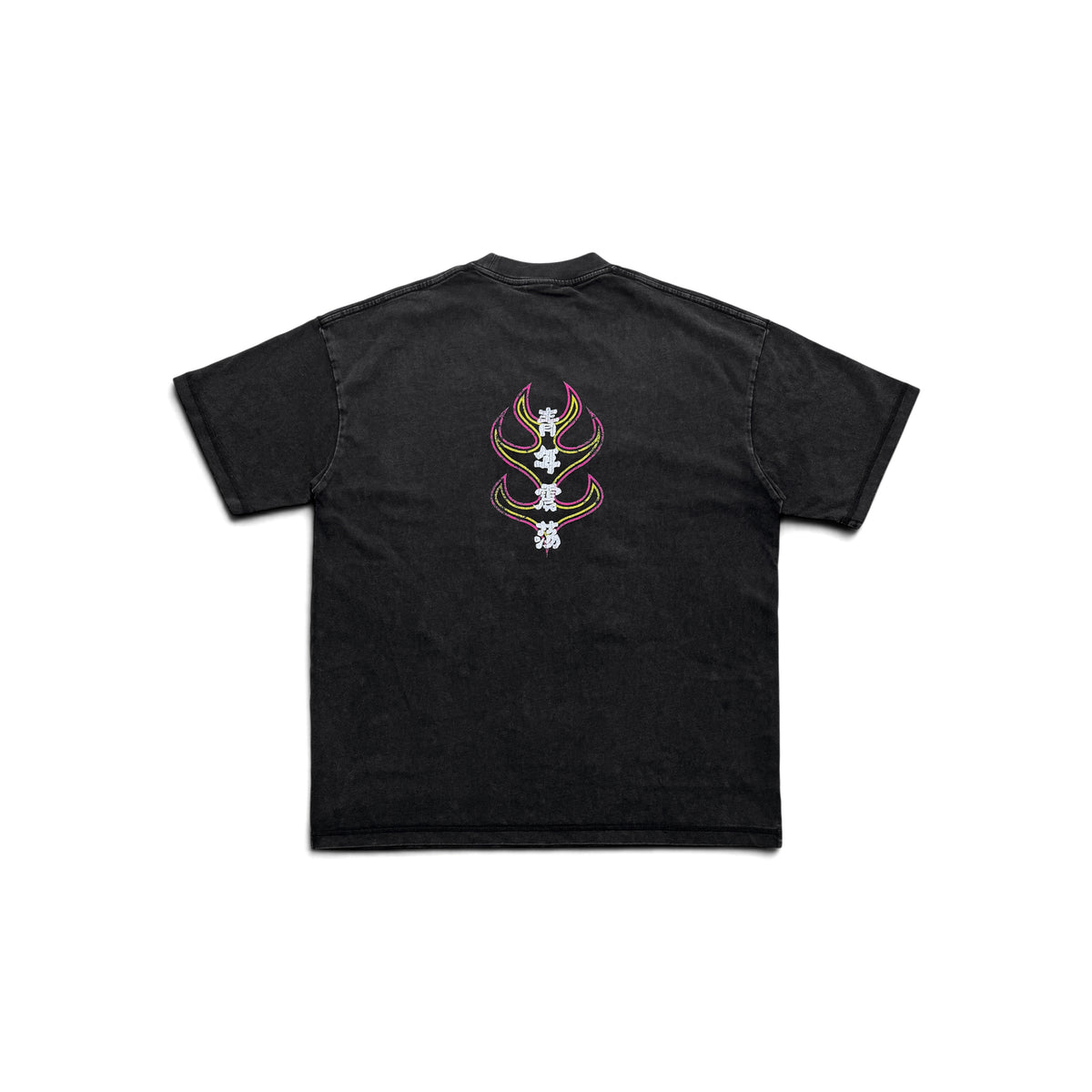 “FIRE BIRD”YOUTHQUAKE  WASHED T-SHIRT