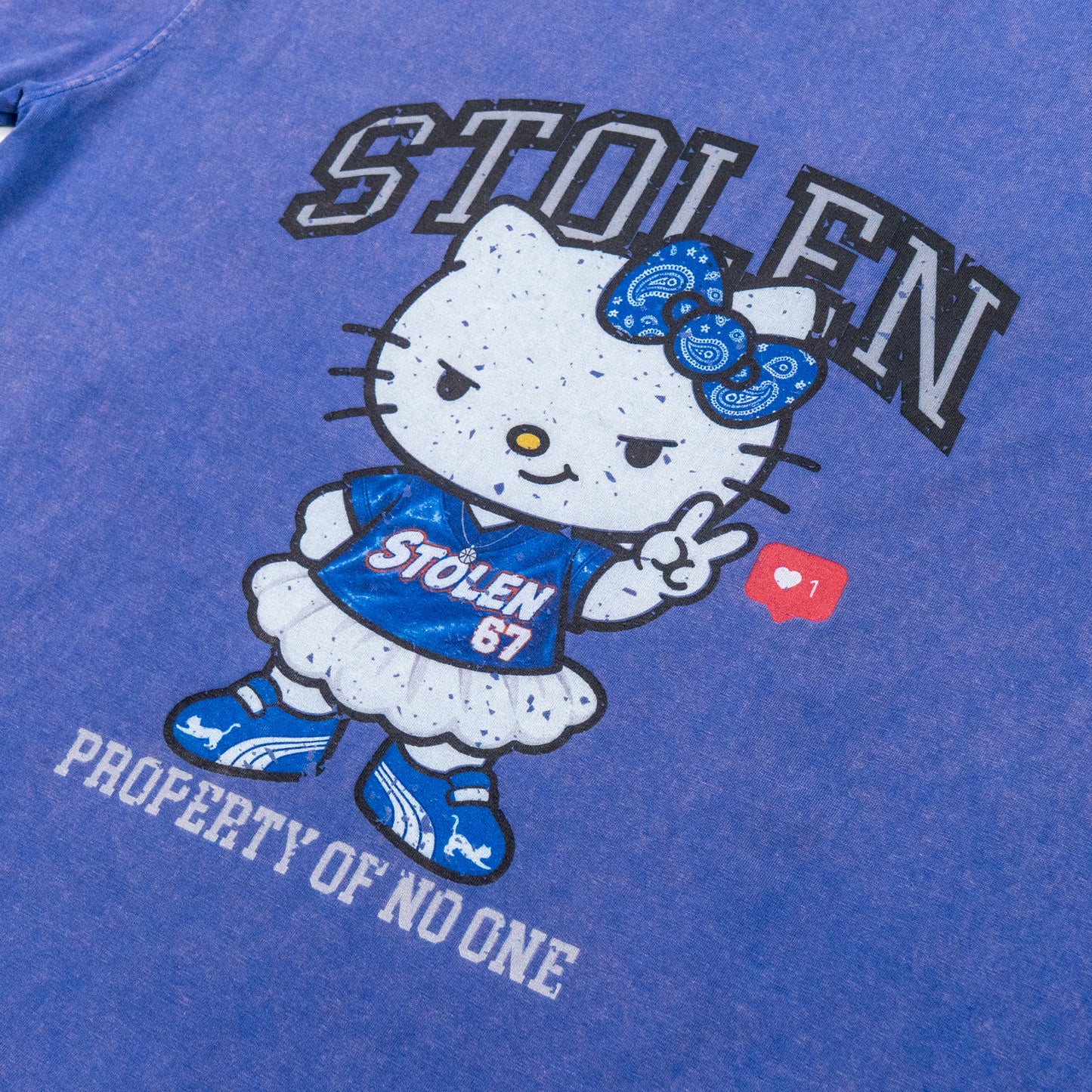 STOLEN 	KITTY