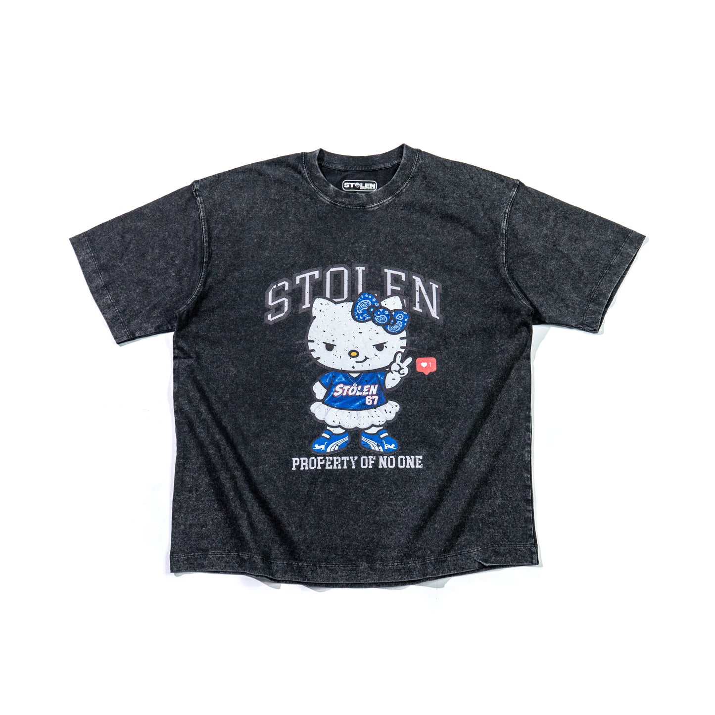 STOLEN 	KITTY
