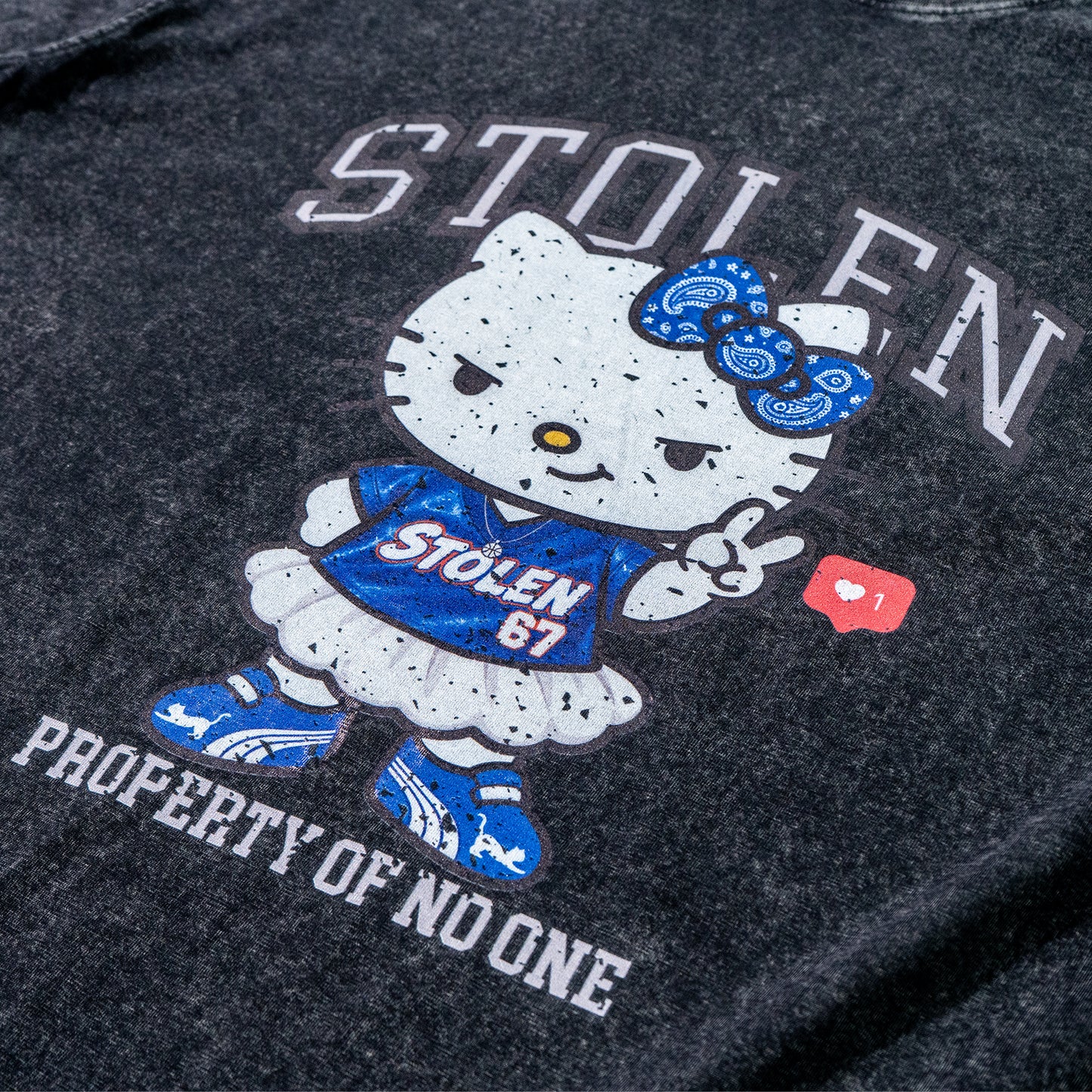 STOLEN 	KITTY
